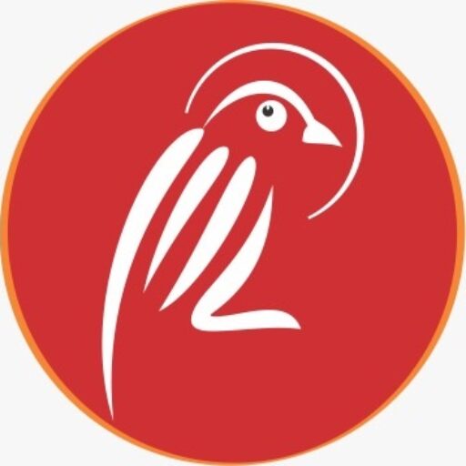 Little Bird Publications